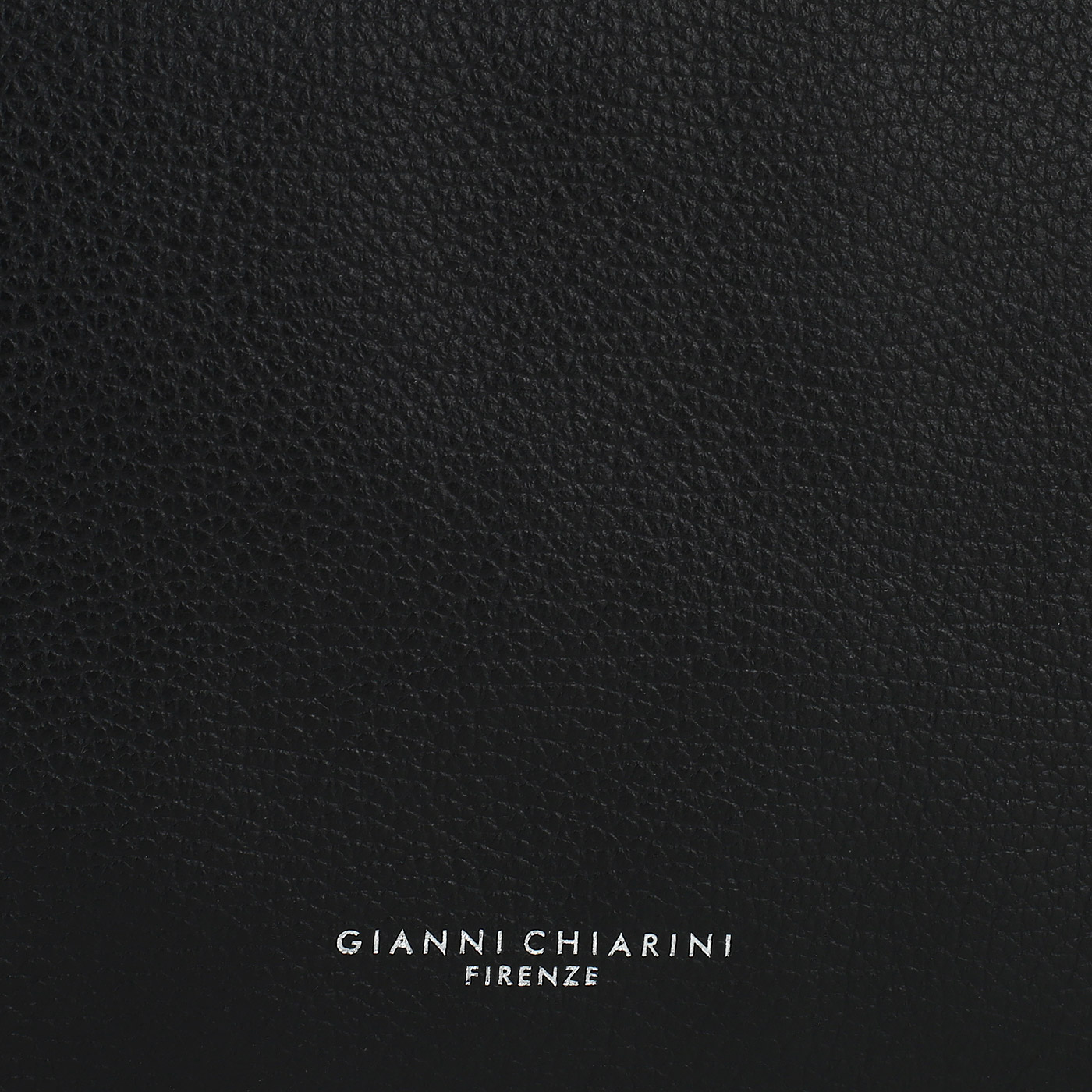 Кожаная сумка Gianni Chiarini Twin