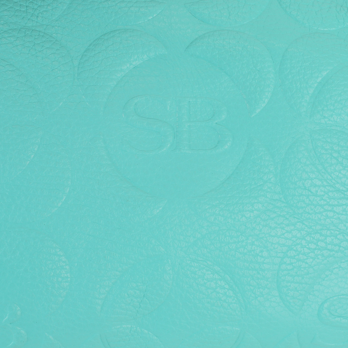 Сумка через плечо Sara Burglar Ariel Dollaro Chic