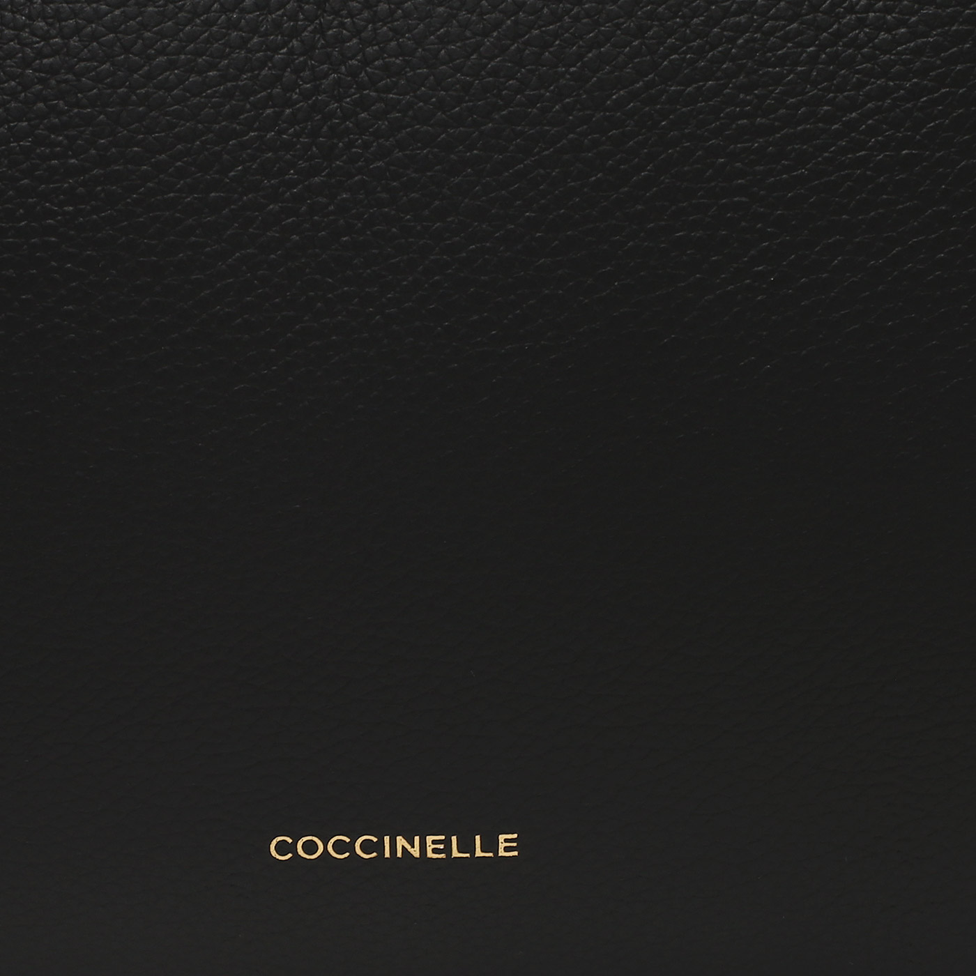 Кожаная сумка Coccinelle Boheme Grana Double